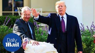 Trump at Thanksgiving 2018: 'Loser turkey won't concede and demanded recount'