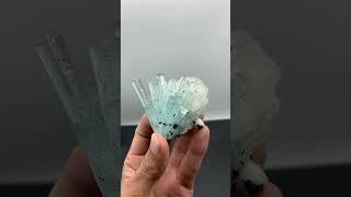 Cluster of Elongated Aquamarine Crystals with Quartz from Pakistan #aquamarine #minerals #crystals