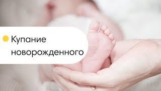 Купание новорожденного. Первое купание малыша.