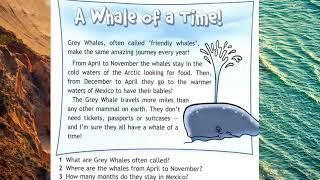 Spotlight 4 p 63 A Whale of a Time!