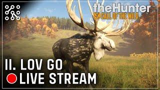 LIVE - II. LOV GO los - Medved Taiga | The Hunter: Call of the wild CZ  | Lets play | Česky