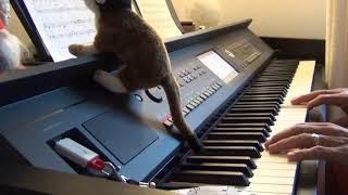 Over the rainbow (dal film "Il mago di Oz")(arr. Dan Coates) (cover piano by piancamax)