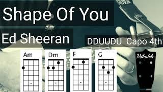 Shape Of You - Ed Sheeran ukulele tutorial / play-a-long