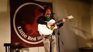 Edo de Vlieger - Little Red Rooster  (cover)