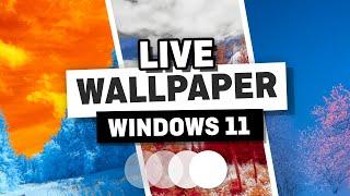 How to Add a Live Wallpaper in Windows 11 - Animated Wallpaper for Windows 11