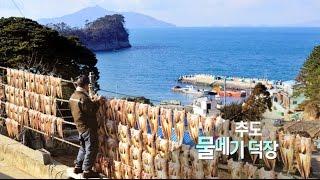 [경남100경 완전정복] 16경. 통영 추도 물메기덕장