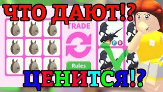 ЧТО ДАЮТ СЕЙЧАС ЗА АВСТРАЛИЙСКИЕ ЯЙЦА В АДОПТ МИ!? | AUSSIE EGG || Adopt Me Roblox!