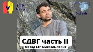 СДВГ часть II. Метод LTP Михаэля Левит