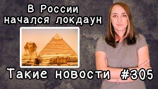 В России начался локдаун. Такие новости №305