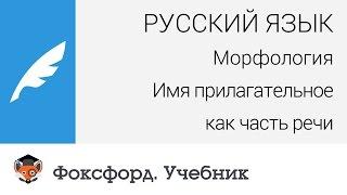 Русский язык. Морфология: Имя прилагательное как часть речи. Центр онлайн-обучения «Фоксфорд»