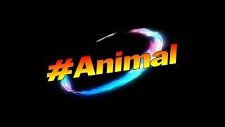#Animal