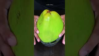 Tender Coconut Shake #shorts #tendercoconutmilkshake #tendercoconutshake #tendercoconut