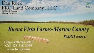 Buena Vista Farm