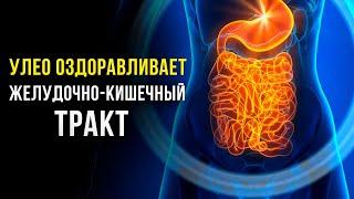 ЖКТ Без Проблем! Самое МОЩНОЕ Оздоровление ЖКТ | Исцеляющая Медитация