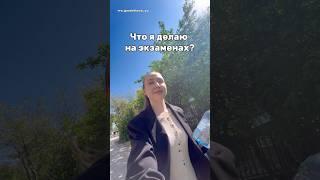 чем занимаются на экзаменах? #влог #школа #побегизшколы #учитель #обзор