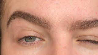 ALL THINGS BROWS | Phoebe Stallan