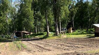 June Planting our Garden in Talkeetna Alaska