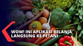 Keren! Aplikasi Belanja Ini Temukan Pembeli Langsung ke Petani