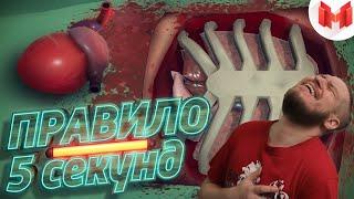 Правило 5 секунд (VR) | РЕАКЦИЯ НА МАРМОКА