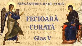 Fecioară curată glas 5 - Mănăstirea Radu Vodă