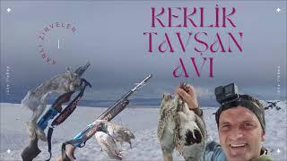 Karlı Zirveler Tavşan, Kınalı ve Çil 3'ü Bir yerde#patridge #harehunting#tavşanavı #perdrix#avcı