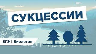 Что такое СУКЦЕССИЯ I ЕГЭ Биология | Даниил Дарвин | Вебиум