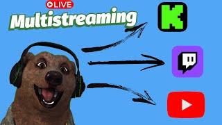 Auf mehreren Plattformen gleichzeitig Streamen | Multistreamen Tutorial | Deutsch DE