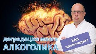  Как происходит деградация мозга алкоголика? 