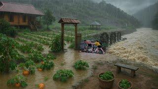 Off Grid Farm Life During Natural Disasters | Harvesting, Cooking & Selling in Flood & Heavy Rain