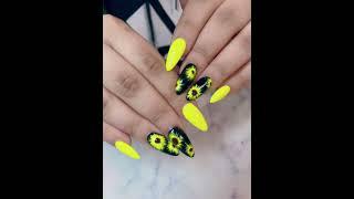 https://www.facebook.com/profile.php?id=100077257647766