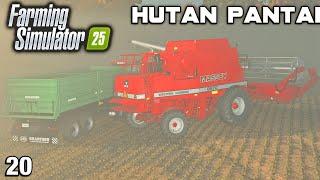 THE CARROT HARVEST IS FINALLY FINISHED - NEVER AGAIN! Hutan Pantai FS25 Ep 20