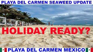 PLAYA  DEL CARMEN MEXICO BEACH AND SEAWEED UPDATE -  ARE THE BEACHES READY FOR THE HOLIDAYS?