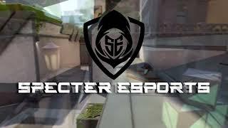 Introducing Specter Esports Valorant