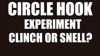 Experiment,  What is The Best Knot For Circle Hooks, Snell or Clinch?