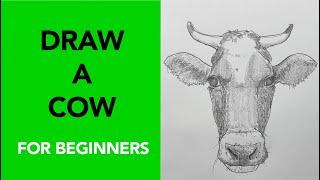 Easy was to draw a cow!