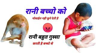 मंकी रानी बच्चो को मोबाइल नहीं छूने देती है।। Monkey Rani Very Angry Beby Chaild i love Animals