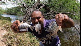 PESCANDO SÓ COM AS MÃOS NO MODO PRIMITIVO E FAZENDO FRITO NO BARRANCO DO RIO COM MÃE MARIA