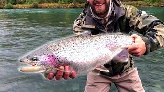 MONSTER Rainbow Trout Fishing Alaska