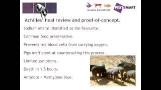 Controlling your feral pigs!