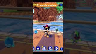 Cheetah shadow sonic speed sim