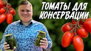 ЛУЧШИЕ СЕМЕНА ТОМАТОВ ДЛЯ КОНСЕРВАЦИИ ОТ СЕМКО. ТОМАТЫ ДЛЯ КОНСЕРВИРОВАНИЯ