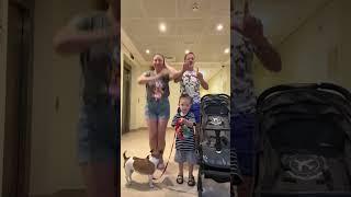 Party Family Come Back  #bunnyparty #family #ellidi #dog #pets #shorts