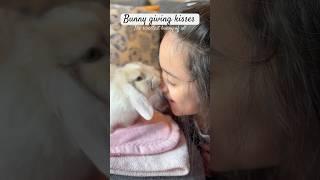 Who’s the sweetest bunny?  Our Oliver loves giving Julianna kisses  he loves her kisses too ️