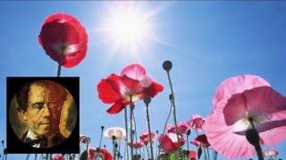 Mahler :  " What love tells me"  Finale Symphony 3 - WP / Abbado
