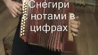 Снегири с нотами в цифрах.