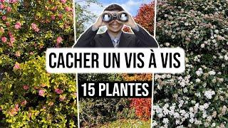 Quelles Plantes pour CACHER un Vis-à-Vis en Hauteur ?