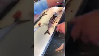 How To Fillet A Mackerel In Under 4 Seconds! #shorts #youtubeshorts #fyp #reels #viral #fypシ