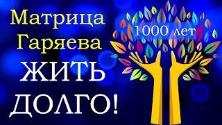 Мощная Матрица ГаряеваЖить долго до 1000 лет!Powerful Matrix of GaryaevLive long up to 1000 years