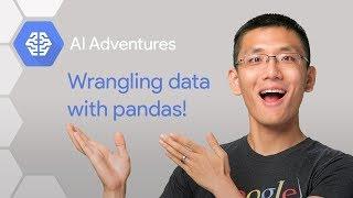 Wrangling Data with Pandas