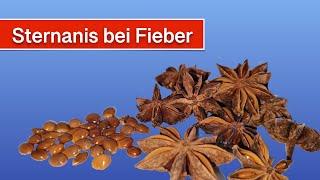 Sternanis bei Fieber